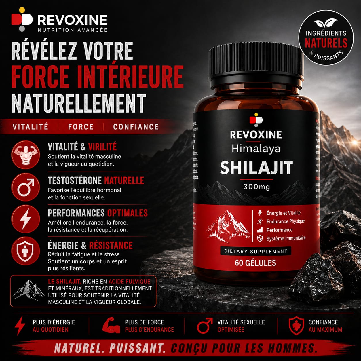 Shilajit Himalaya 300mg – 60 Gélules